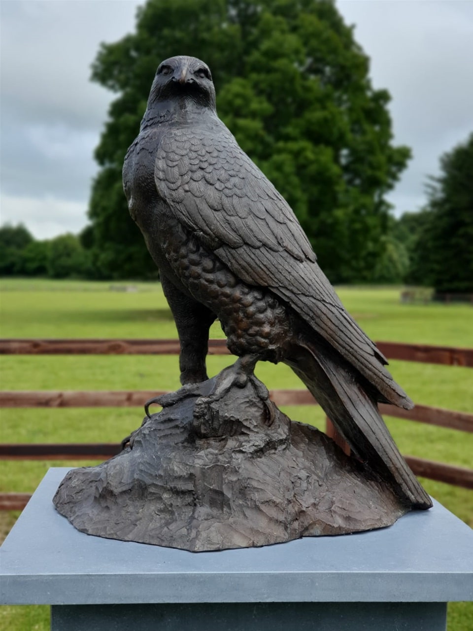 Bronze sculpture of an eagle by Irish sculptor James McLoughlin